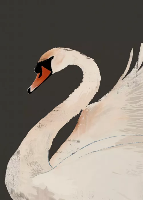 Magnusson, Andreas: The Swan