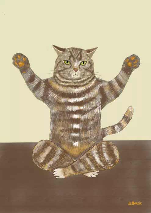 Bursic, Sharyn: Gatto Yoga