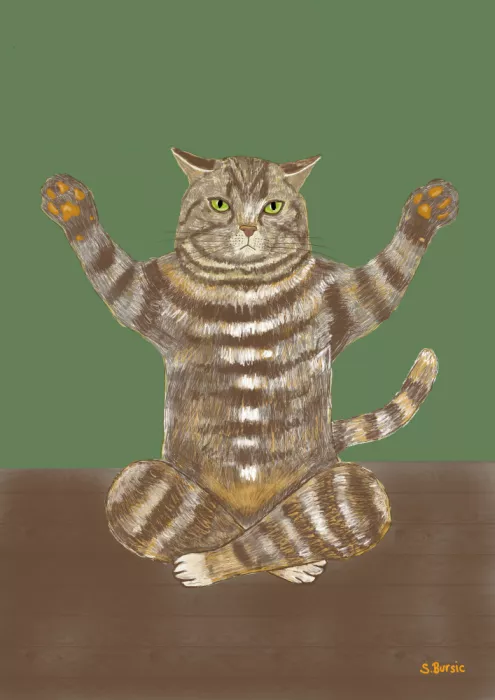 Bursic, Sharyn: Yoga-Katze auf grünem Hintergrund
