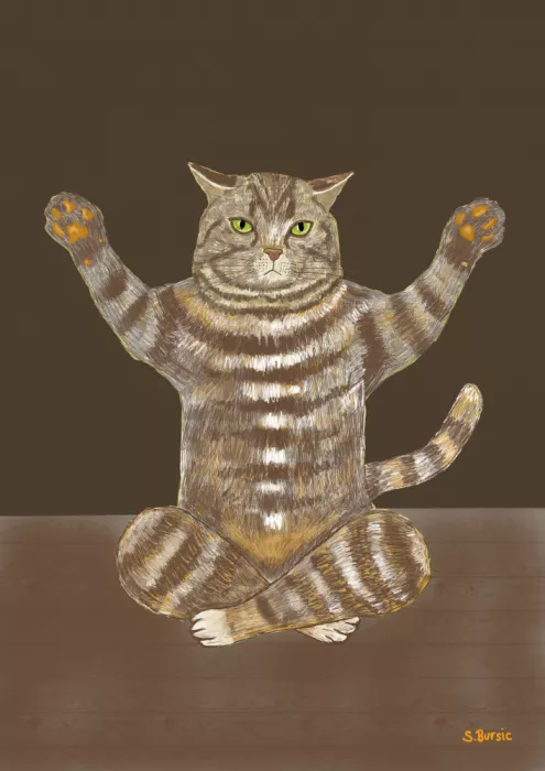 Bursic, Sharyn: Gatto yoga
