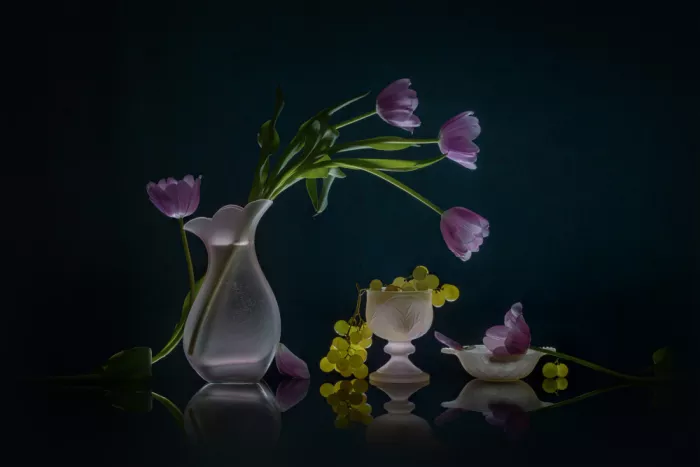 Jacobs, Lydia: Tulipani lavanda e uva