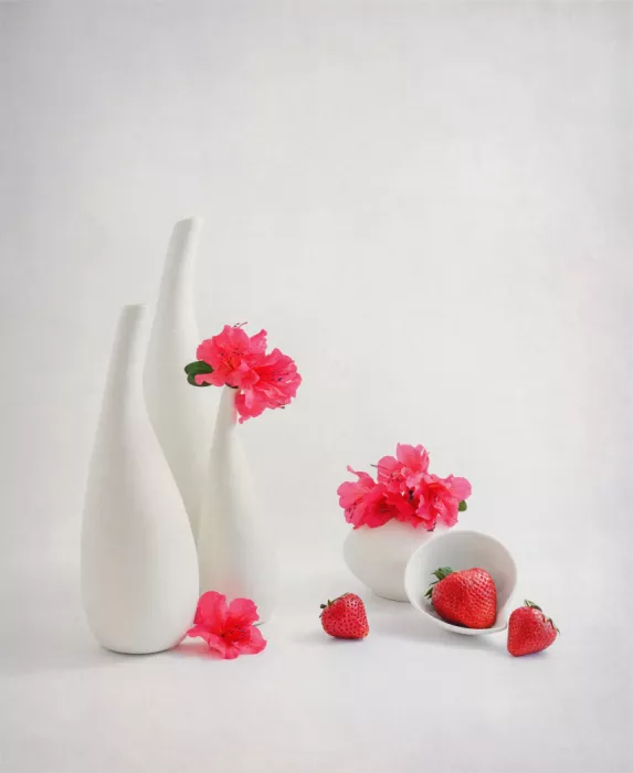 Sheng, Alice: still life 126