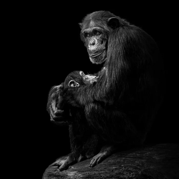 Meermann, Christian: Motherly Love #2