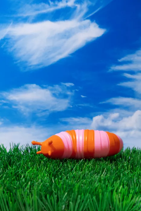 Ramiro, Julia: Farbige Schnecke auf Gras