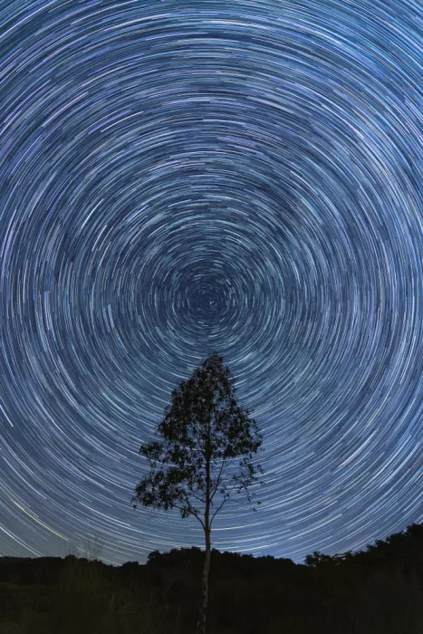 MARTÍNEZ, CARLOS JUAN: Circumpolar