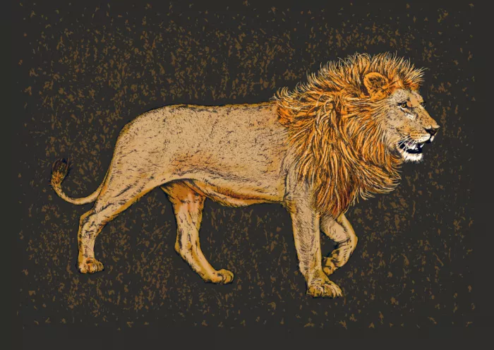 Kaminski, Carlo: Majestic Lion