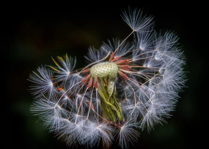Andrica, Eduard: Moments