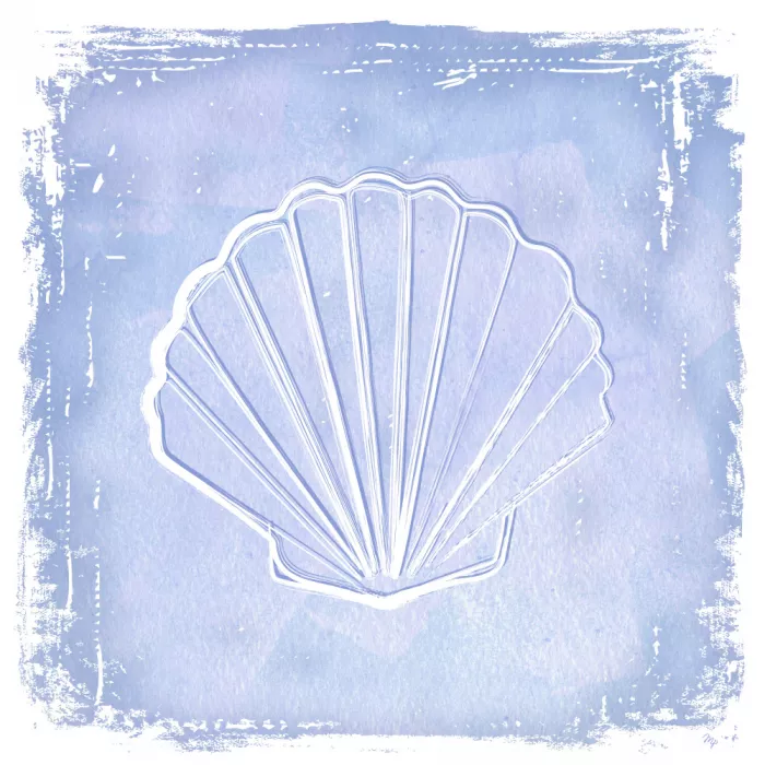 Martina: Sogno di Conchiglia Azzurra