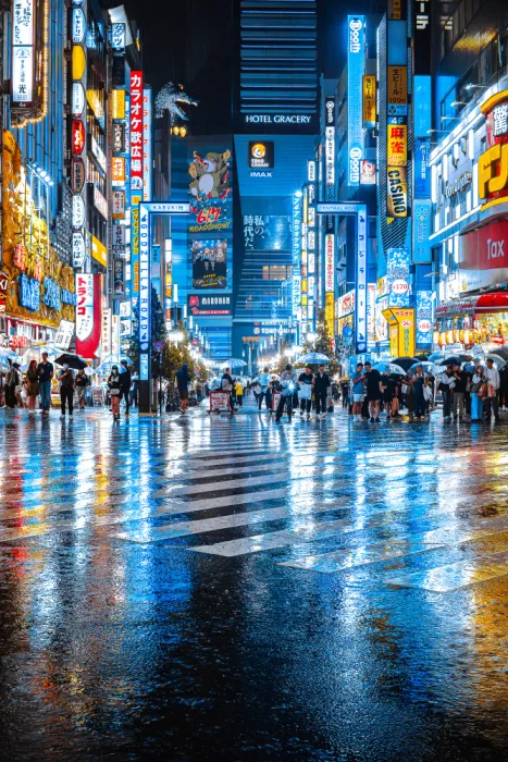 I_ha__to: Shinjuku Pioggia Intensa