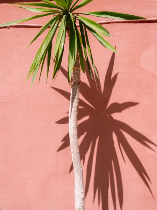 Zwart, Raisa: Details of Tamraght Morocco