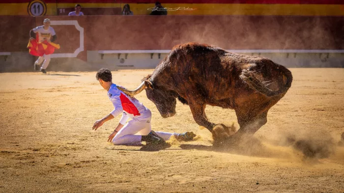 Ribes, Gustavo: Tocado.