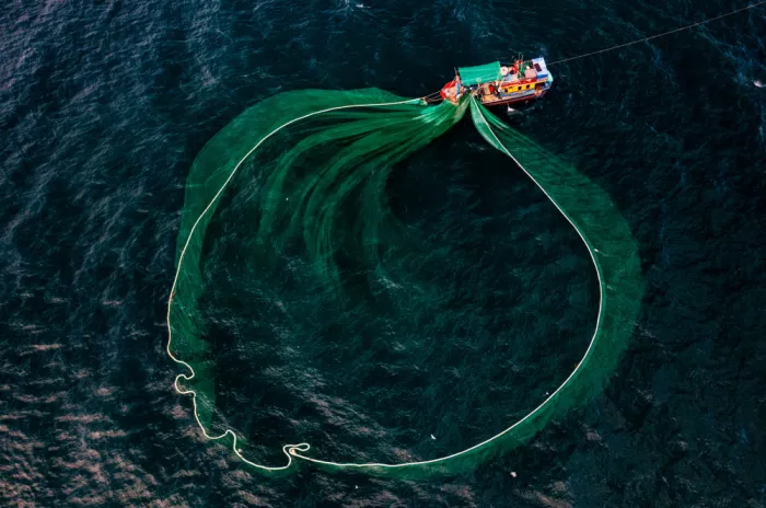 Truong, Van Tran: Fishing