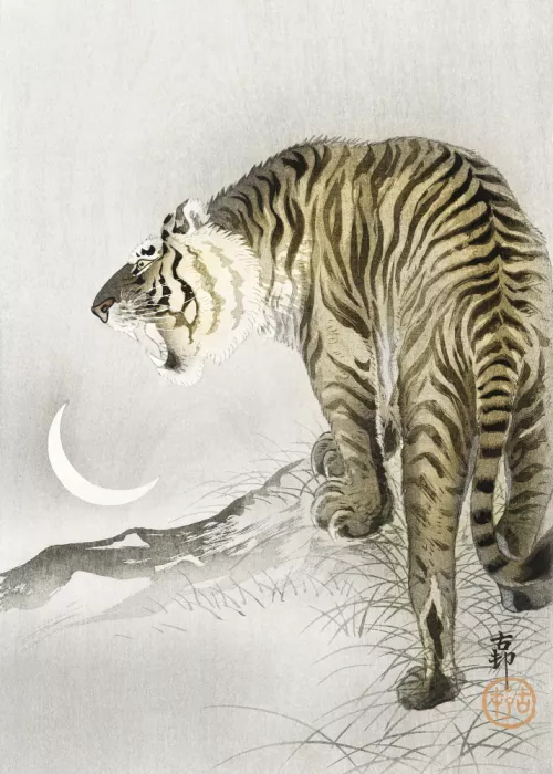 Koson, Ohara: Řvoucí tygr