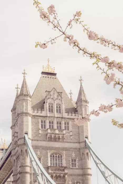 McQueen, Talitha: Tower Bridge en Flores Proporción 2x3