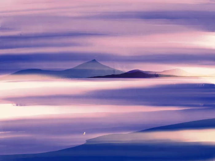 Dean, Little: Lone seagull in purple nature