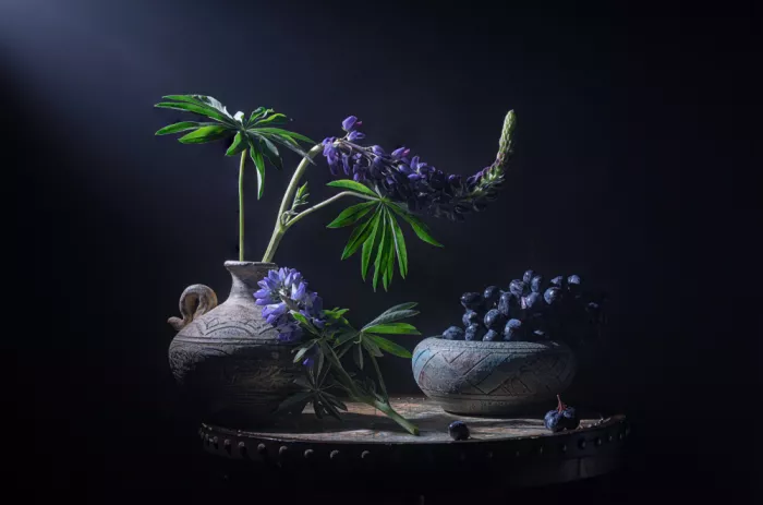 Jacobs, Lydia: Lupini e Uva