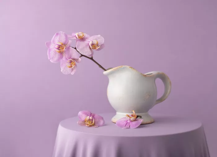 Perfoncio, Margareth: Pure Lilac