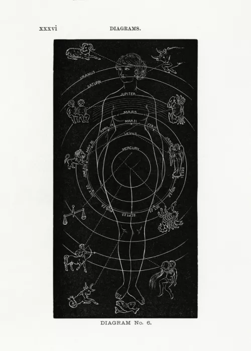 Butler, Eratus Hiram: Solarbiologie Nr. 6