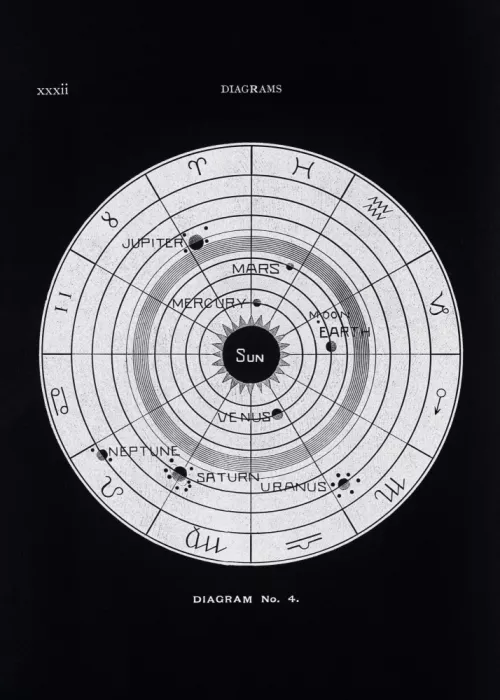 Butler, Eratus Hiram: Solar Biology No.4 Black (Creative ed.)