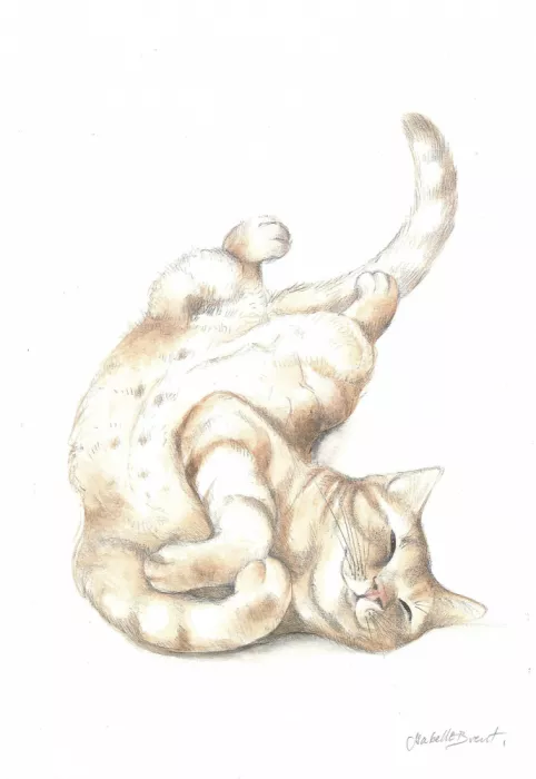 Brent, Isabelle: Gato relajado