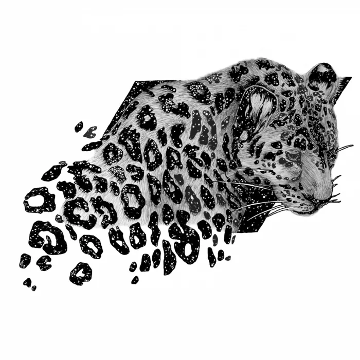 Mazur, EC: Kosmická leopardí nástěnná malba - Kopie
