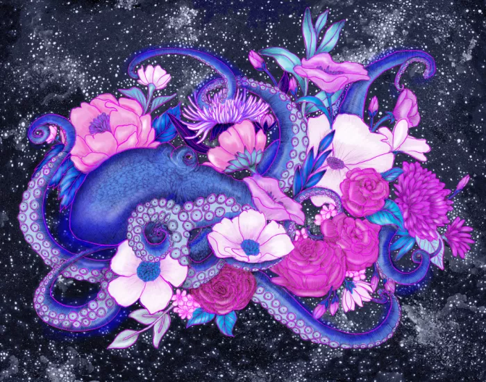 Mazur, EC: Kouzelný oceán - Chobotnice Barevný originál