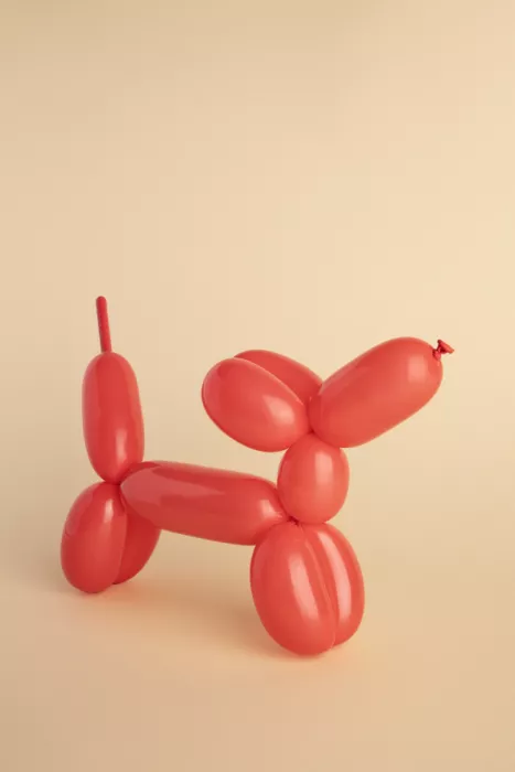 Ramiro, Julia: Chien ballon rouge