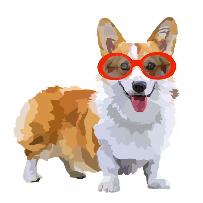 Rakos, Lynnda: Corgi with Red Sunglasses