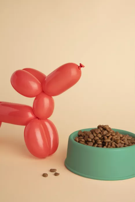 Ramiro, Julia: Chien ballon avec gamelle