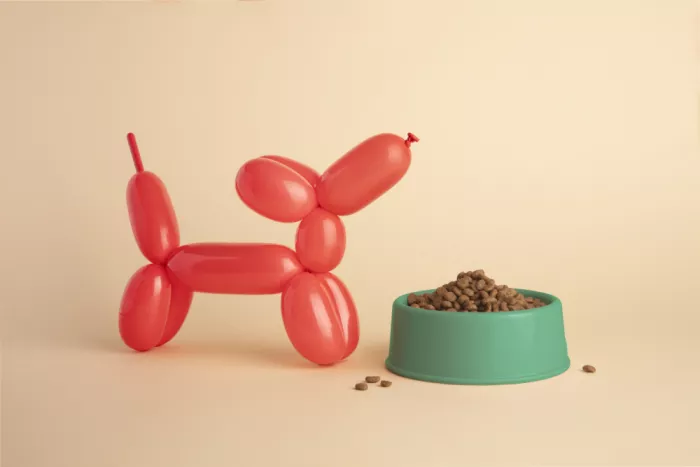 Ramiro, Julia: Chien ballon avec gamelle