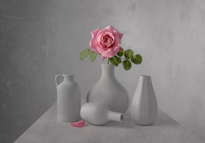Perfoncio, Margareth: Lonely rose