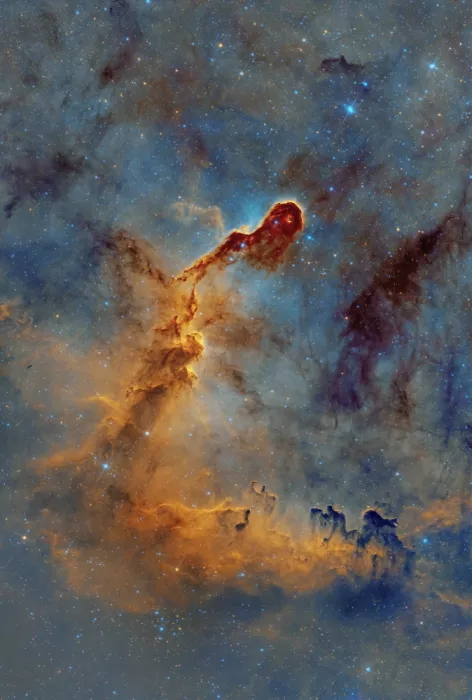 Rodríguez, María Rosa: IC 1396, la Nébuleuse de la Trompe d