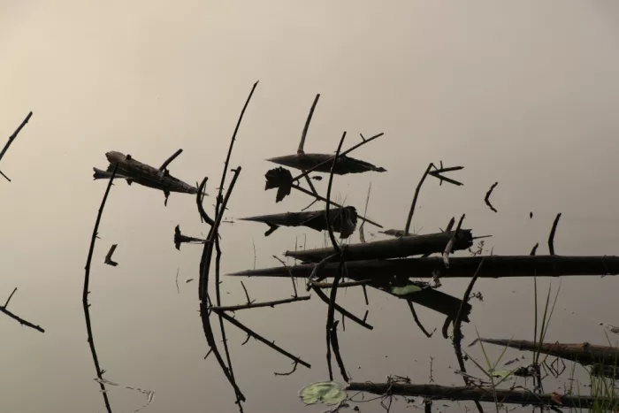 ch, Santhosh: Symfonie odrazu