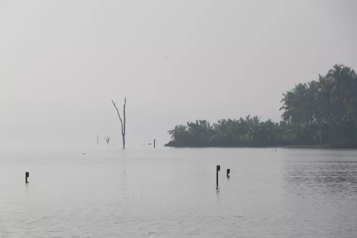 ch, Santhosh: Klidná mlhavá lakeside