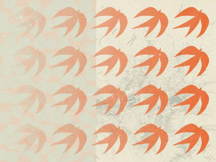 NKTN: Abstract Composition 1