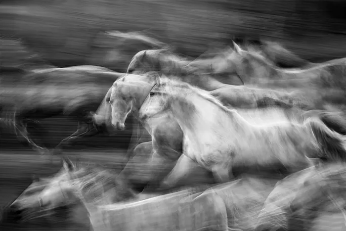 Malovrh, Milan: Galopp