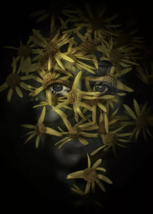 Depaola, Mia: Floral III