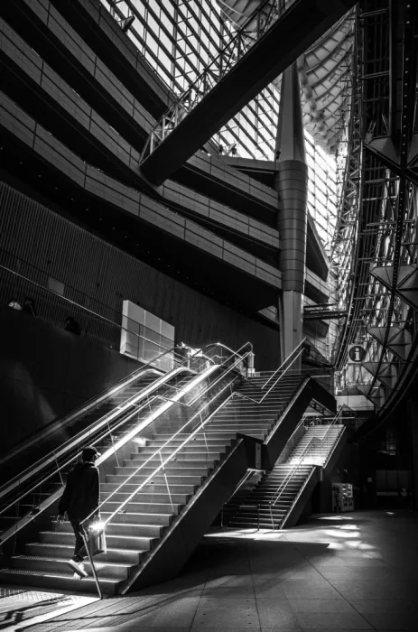 Fujii, Yuzo: The Bright Stairs
