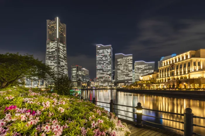 Viola, Melanie: Skyline idilliaca di Yokohama di notte