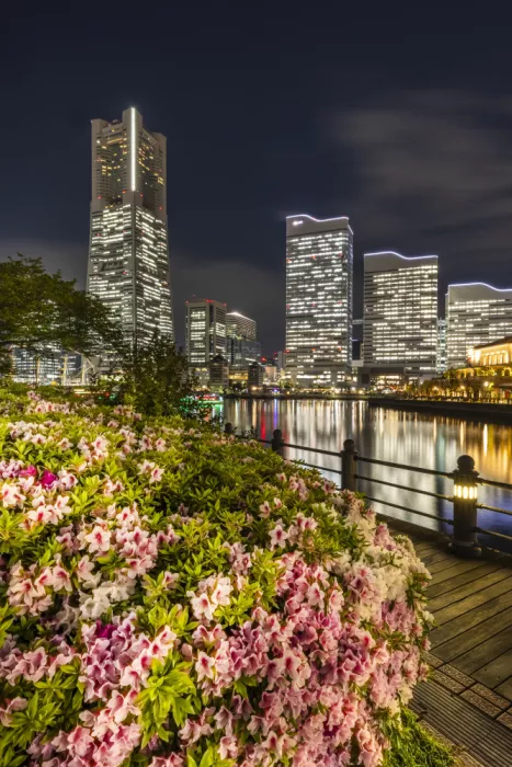 Viola, Melanie: Suggestiva skyline di Yokohama di notte