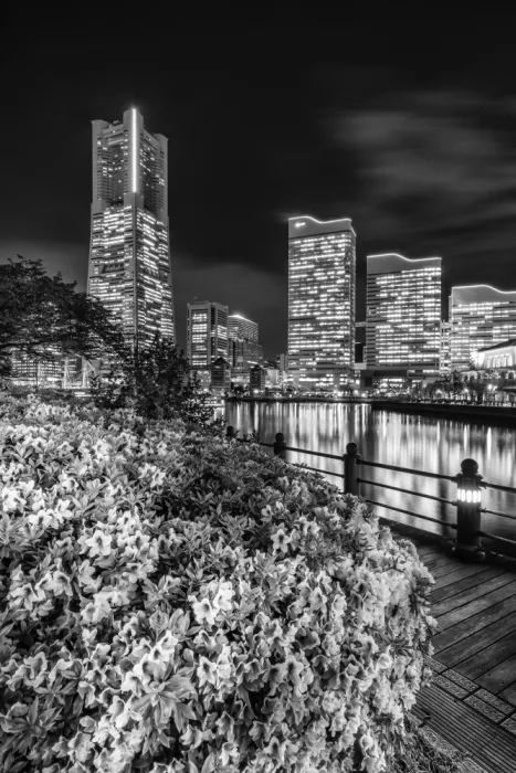 Viola, Melanie: Suggestivo skyline di Yokohama di notte - monocromatico