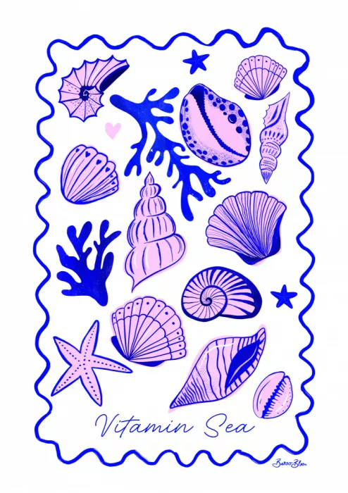 Bloom, Baroo: Sea Shells - Vitamin Sea