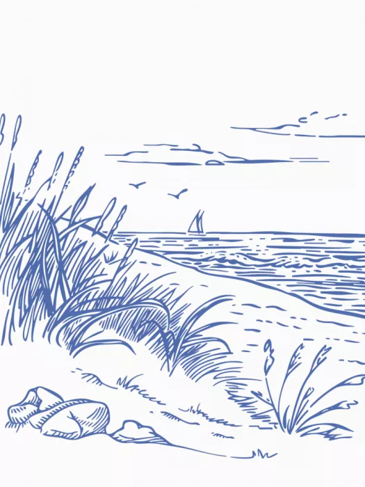 Dash, and Jolly: Boceto de vela