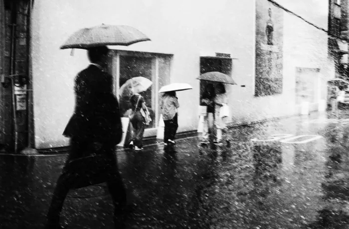 Choi, Young Mi: Rainy season