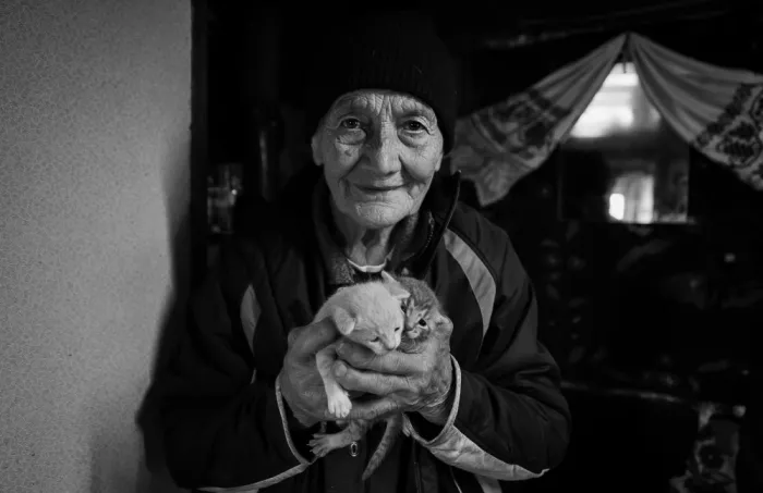 Roibu, Grigore: Junge Katzen / Alte Menschen