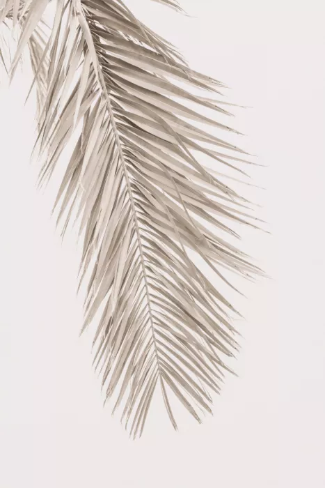 Pienaar, Kathrin: Foglia Marrone 2