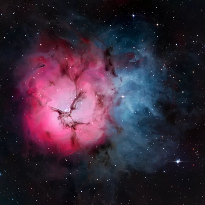 Chander, Vikas: Trifid-Nebel
