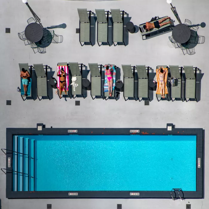 Lapa, Marek: Pool TV