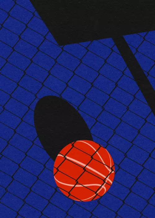 Feist, Rosi: Terrain de Basketball de Cour