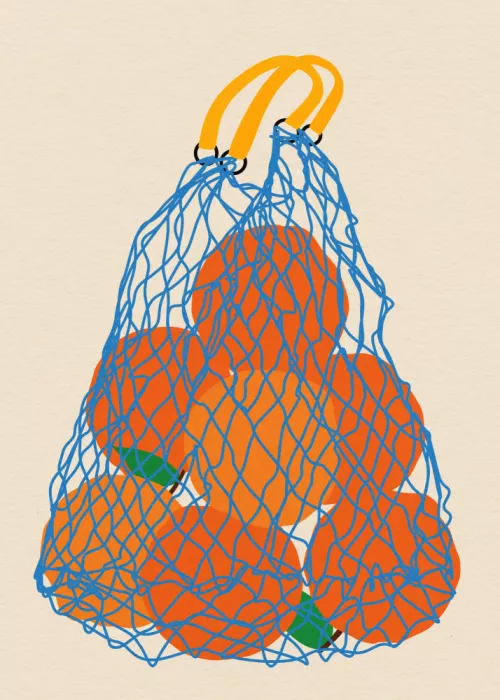 Feist, Rosi: Oranges dans un filet Update 24